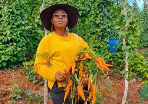 WUSC Caribbean Promotes Climate-Resilient Agriculture – St. Lucia Times News