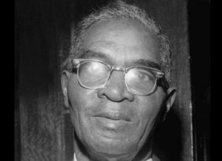 This Caribbean Immigrant Was The Youngest Editor Of Marcus Garvey’s Newspaper Caribbean-immigrant-Wilfred Adolphus Domingo