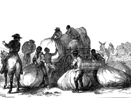 caribbean-slaves-usa