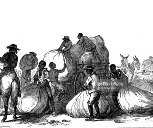Caribbean Slaves Were Brought To The US As Early As 1660s caribbean-slaves-usa