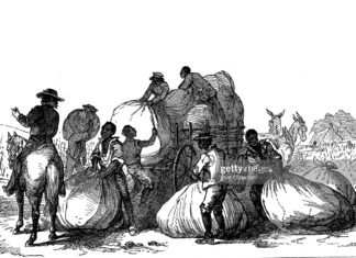 caribbean-slaves-usa