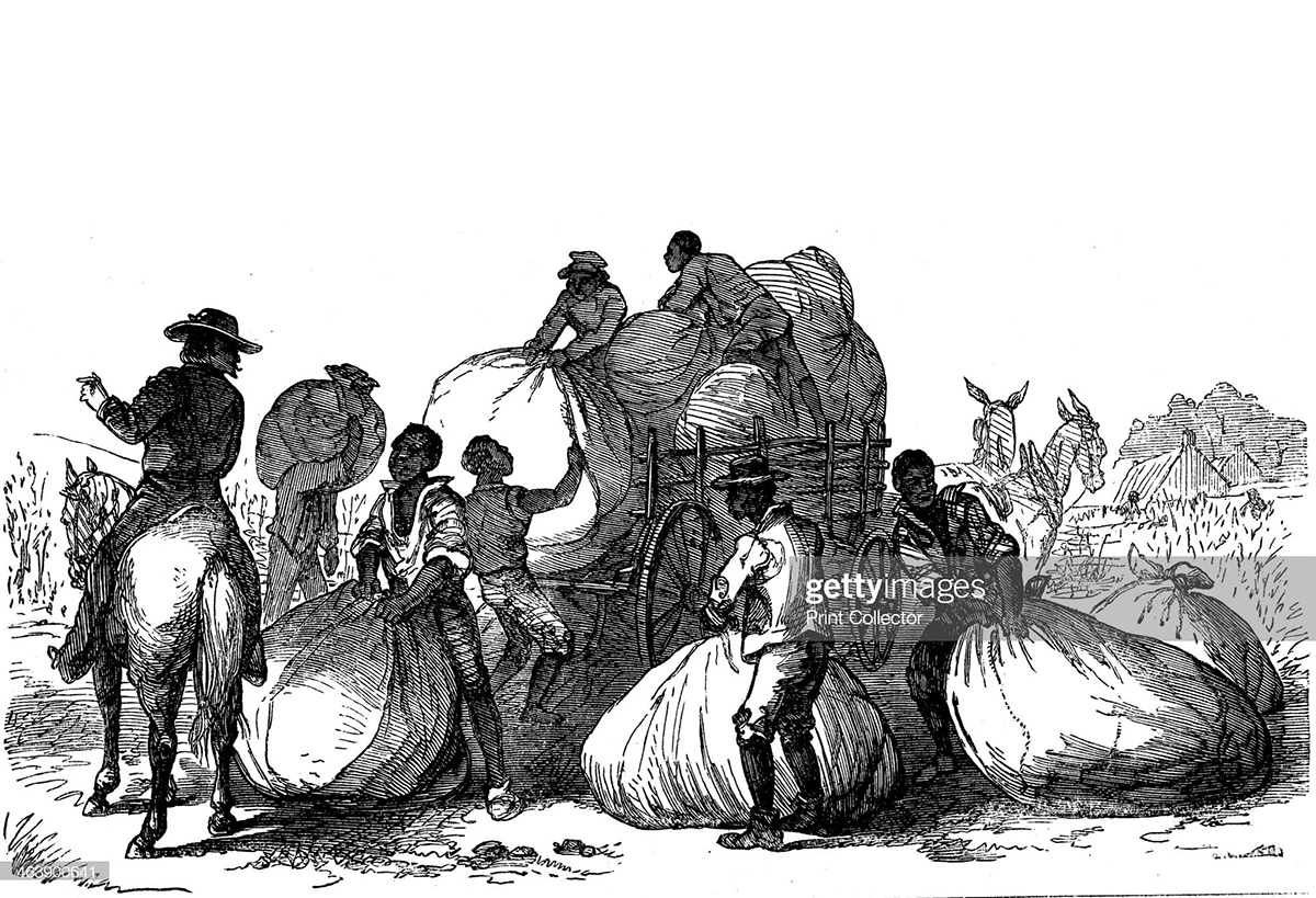 Caribbean Slaves Were Brought To The US As Early As 1660s