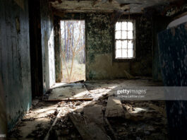 south-carolina-slave-cabins-where-caribbean-slaves-once-lived