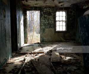 One Third To One Half Of The Carolinas Early Slaves Were From The Caribbean south-carolina-slave-cabins-where-caribbean-slaves-once-lived