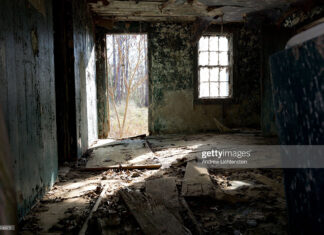south-carolina-slave-cabins-where-caribbean-slaves-once-lived