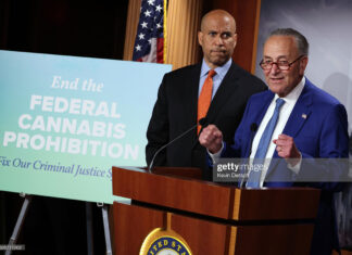 Cannabis News Today chuck-schumer