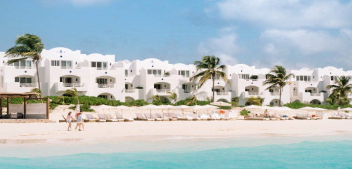 anguilla anguilla
