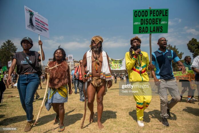 cannabis-south-africa cannabis-south-africa