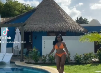 sheryl-lee-ralph-bikini