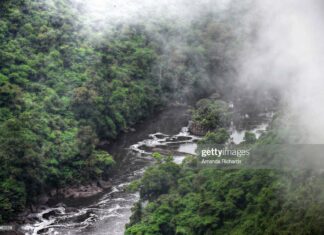 guyana-kaiteur-falls