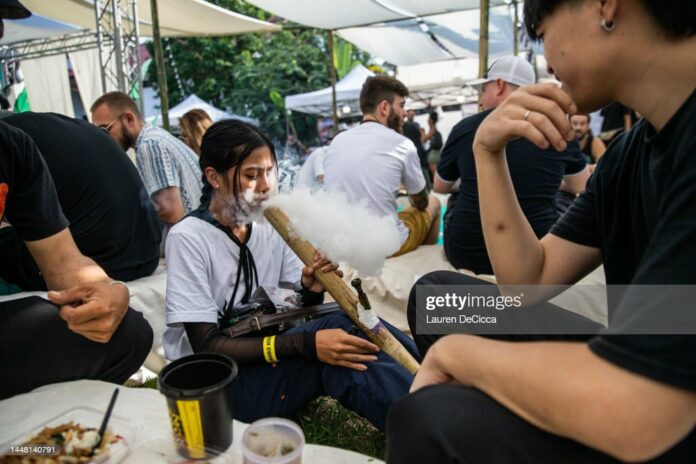 marijuana marijuana-festival-thailand