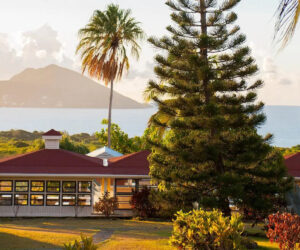 Caribbean Travel News Round Up mount-nevis