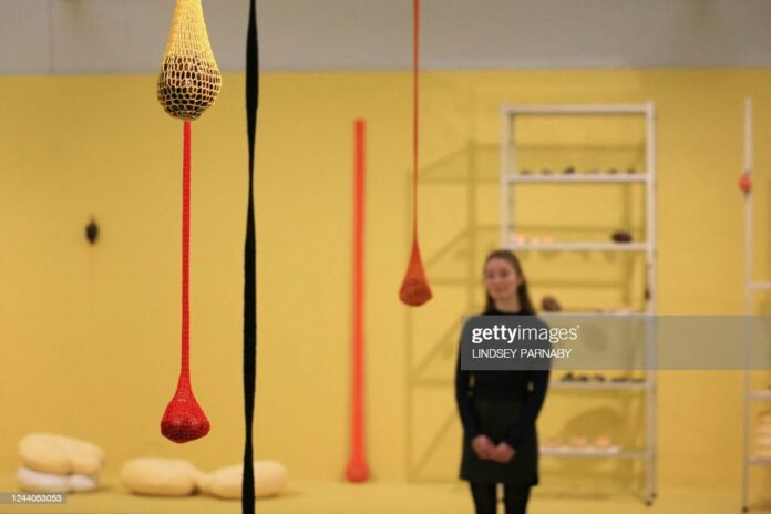 veronica-ryan-caribbean-immigrant-artist-wins-turner-award