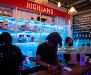 Cannabis News Today weed-shop-asia