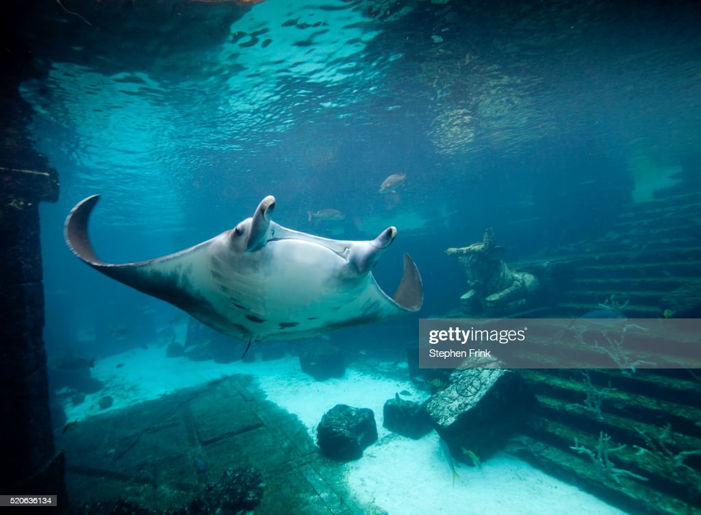 bahamas-travel bahamas-travel