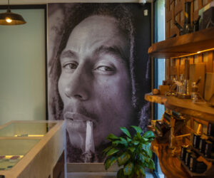Marley_Natural_Dispensary_Jamaica_Now-Open