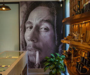 Cannabis News Headlines From Around The World Marley_Natural_Dispensary_Jamaica_Now-Open