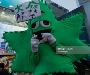 Cannabis News Headlines From Around The World cannabis-japan