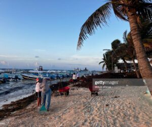 Caribbean Travel News And Deals caribbean-sargassum