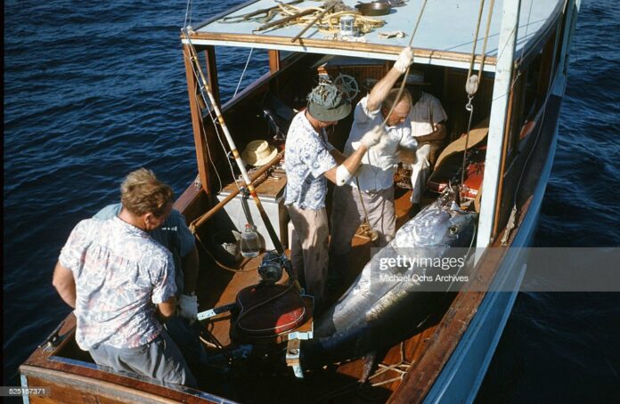 tuna-fishing-caribbean