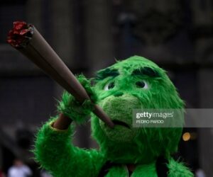 Cannabis News Headlines From Around The World 4202023-mexico