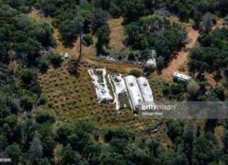 Cannabis News Headlines From Around The World ganja-fields