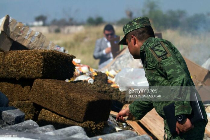 mexico-burns-weed mexico-burns-weed