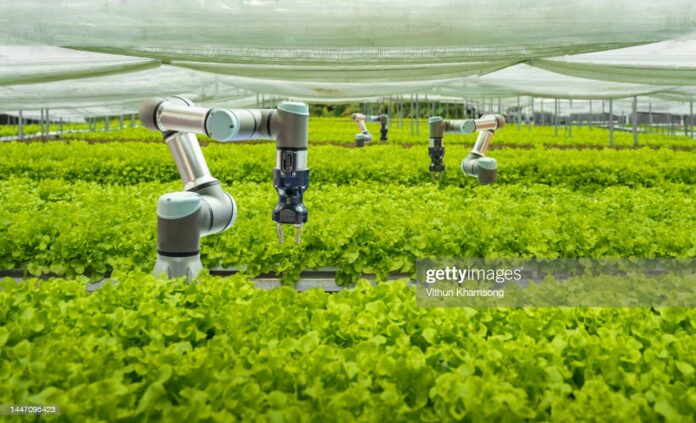 AI-agriculture AI-agriculture