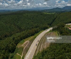 Brazil’s Eucalyptus Industry