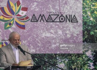 Agroforestry Can Be Part Of The Solution To Saving The Amazon amazon-conference