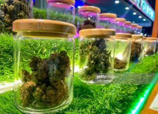 Barbados Grants Approvals To Local Companies for Medicinal Cannabis Operations cannabis