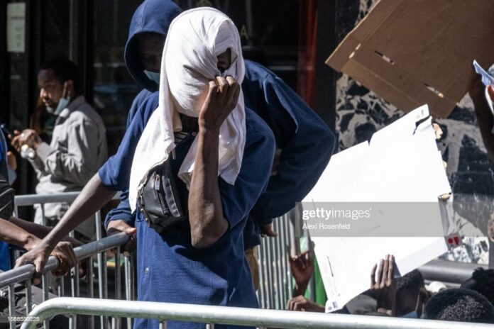 immigrants-in-nyc immigrants-in-nyc