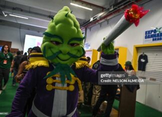 Cannabis News Headlines From Around The World cannabis-brazil