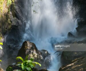 30 things you did not know about Dominica dominica