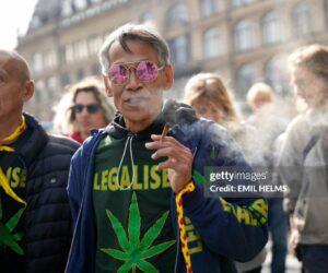 Cannabis Industry News cannabis-news