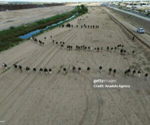 Guess How Many Migrants Have Entered The US Via The Southwest Border This Year? nim-us-border