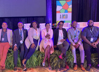 invest-caribbean-cif2023developers