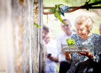 the-princess-and-the-parrot