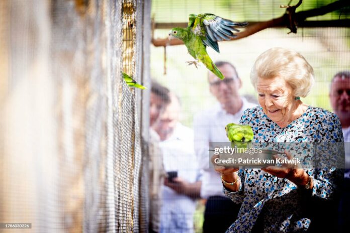 the-princess-and-the-parrot the-princess-and-the-parrot