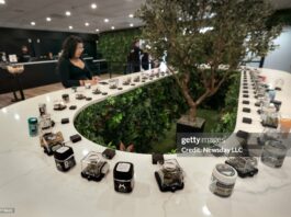 marijuana-in-farmingdale-ny