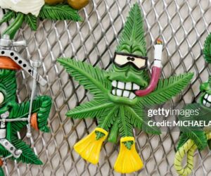 Cannabis Sector Update: Key Highlights and Trends This Week germany-hemp-store