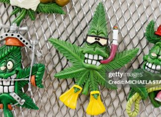 Cannabis Sector Update: Key Highlights and Trends This Week germany-hemp-store