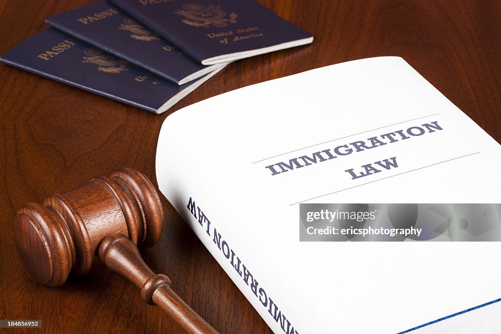 us-immigration-law