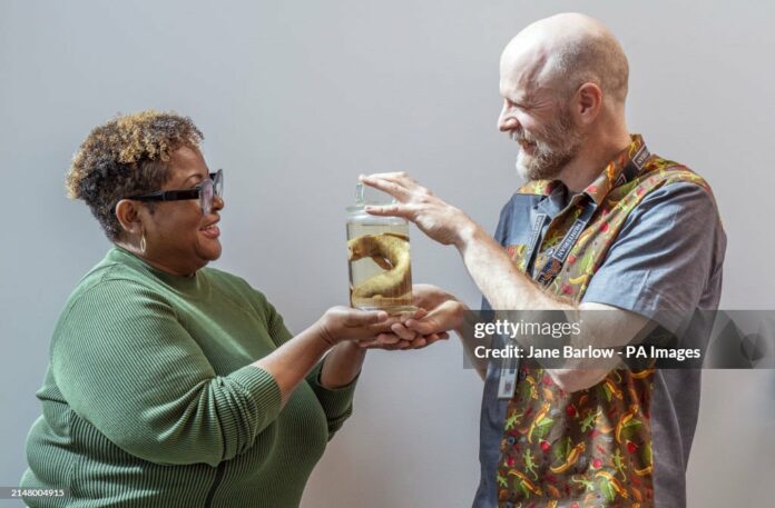 from-university-of-glasgow-to-uwi from-university-of-glasgow-to-uwi