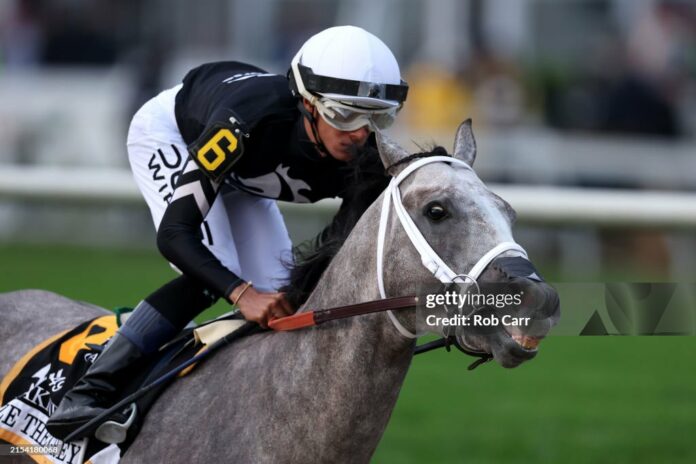 caribbean-jockey-jamie-torress-heads-to-belmont