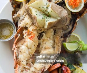 BVI Gets Ready For Lobster Fest bvi-lobster-fest