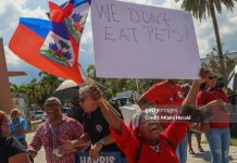 Where Are The Haitians For Trump In This Latest Racist Attack Against Haitians? haitians-protest-trump-pets-comment