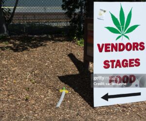 Countdown Begins To Caribbean Cannabis Festival cannabis-festival-caribean
