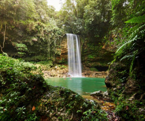 caribbean-bio-diversity