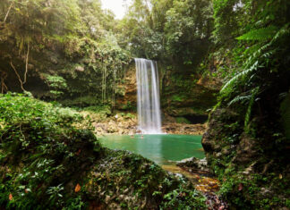 Did You Know 50% Of The Planet’s Biodiversity Is In The Caribbean And Latin America? caribbean-bio-diversity